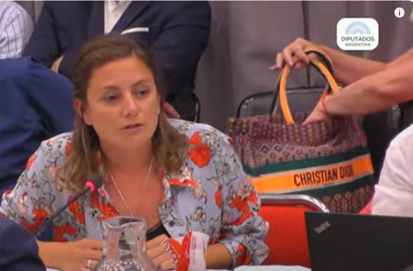 pia_dmn's tweet photo. No miro las carteras de las diputadas porque mientras nos distraen con fake news están rifando el país, pero ni siquiera era SU CARTERA. https://t.co/PKJB3vTXVq
