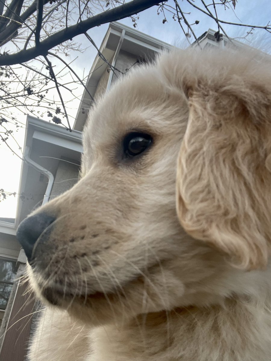 Joe Parker tweet media