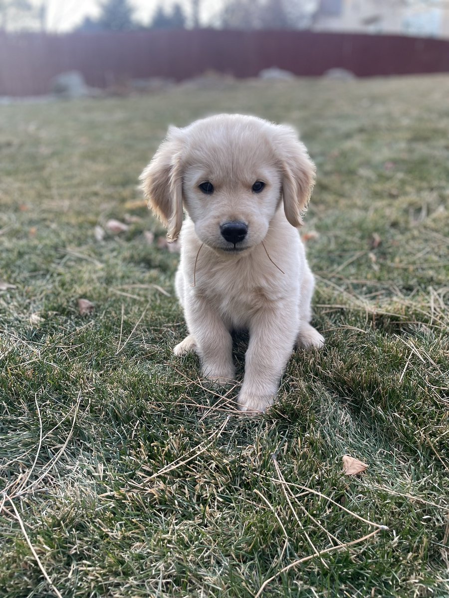 Joe Parker tweet media