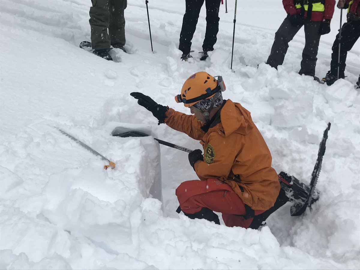 Mike Leum tweet media