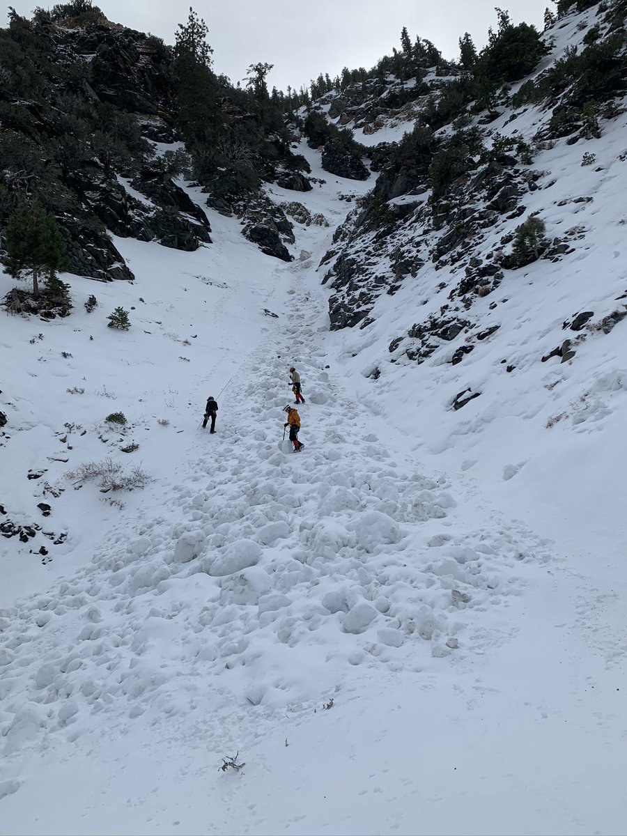 Mike Leum tweet media