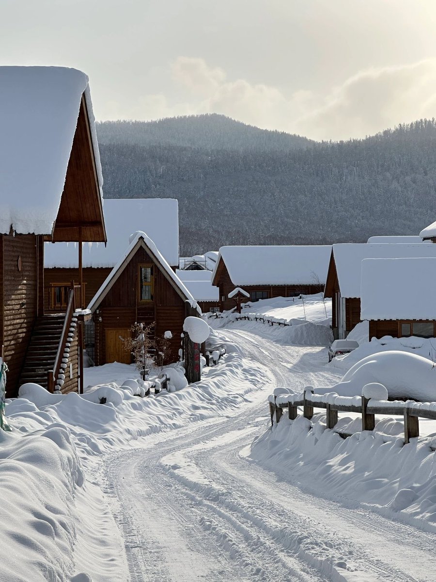 The biggest drawback of this winter is that I didn't get to play in the snow❄