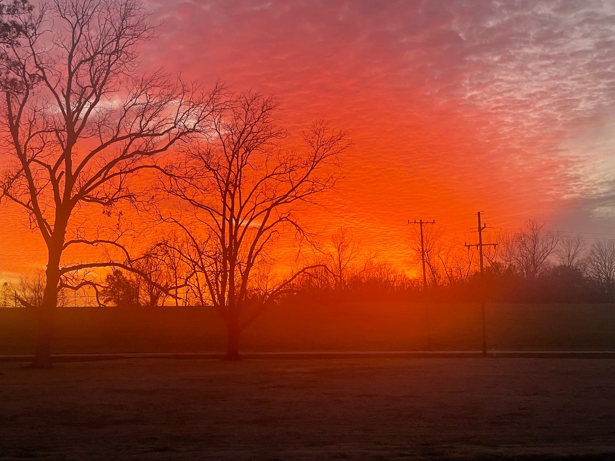 Flynn Foster tweet media