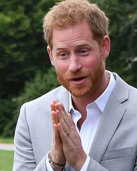 MeghansMole's tweet photo. Prince Harry is a FRAUD, A LOSER & a DRUG ADDICT (he has admitted to it many times) https://t.co/GDV4C4Nwzi