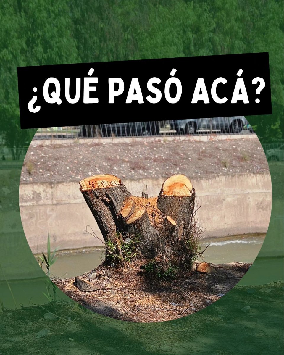 PuenteVincular's tweet photo. Imaginate volver un día a tu casa y que ya no esté. Imaginate perder lo que pieza por pieza construiste y llamaste hogar. Imaginate que encima todo esto pasa cuando estás luchando por tu vida en un hospital, víctima de violencia de género. https://t.co/yJ5WYcHIiB