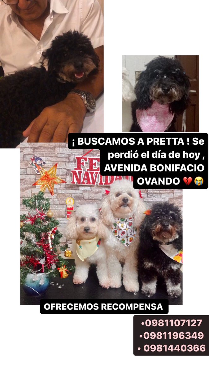 sofigorue's tweet photo. POR FAVOR AYÚDENME 😭😭💔 AVENIDA BONIFACIO OVANDO - LAMBARE https://t.co/5fjAnqhqo1