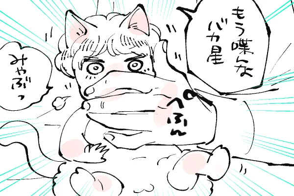 🐱キラキラにゃんこ生活
性生活を全部言うタイプのつがい猫🤣 