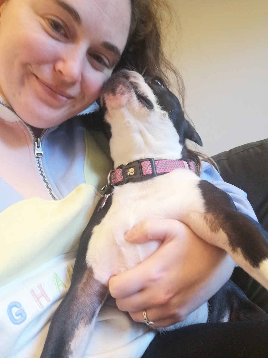 CelineCamon's tweet photo. First day at big school (UCLA)! So excited for cool science with @Profa_Correa and her awesome team as part of an exchange for my PhD. And we have a doggo! ! Forever grateful to the Elman Poole Trust, the @hopefoundNZ and CARE at Otago. @RECampbell_inNZ @GarrattMike @CneOtago https://t.co/EMAPA8A87y