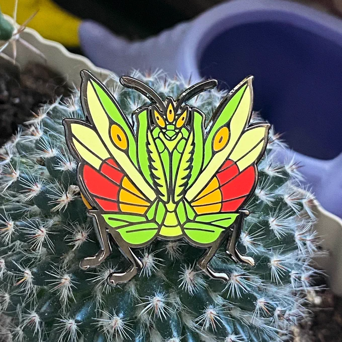 Enamel pins 