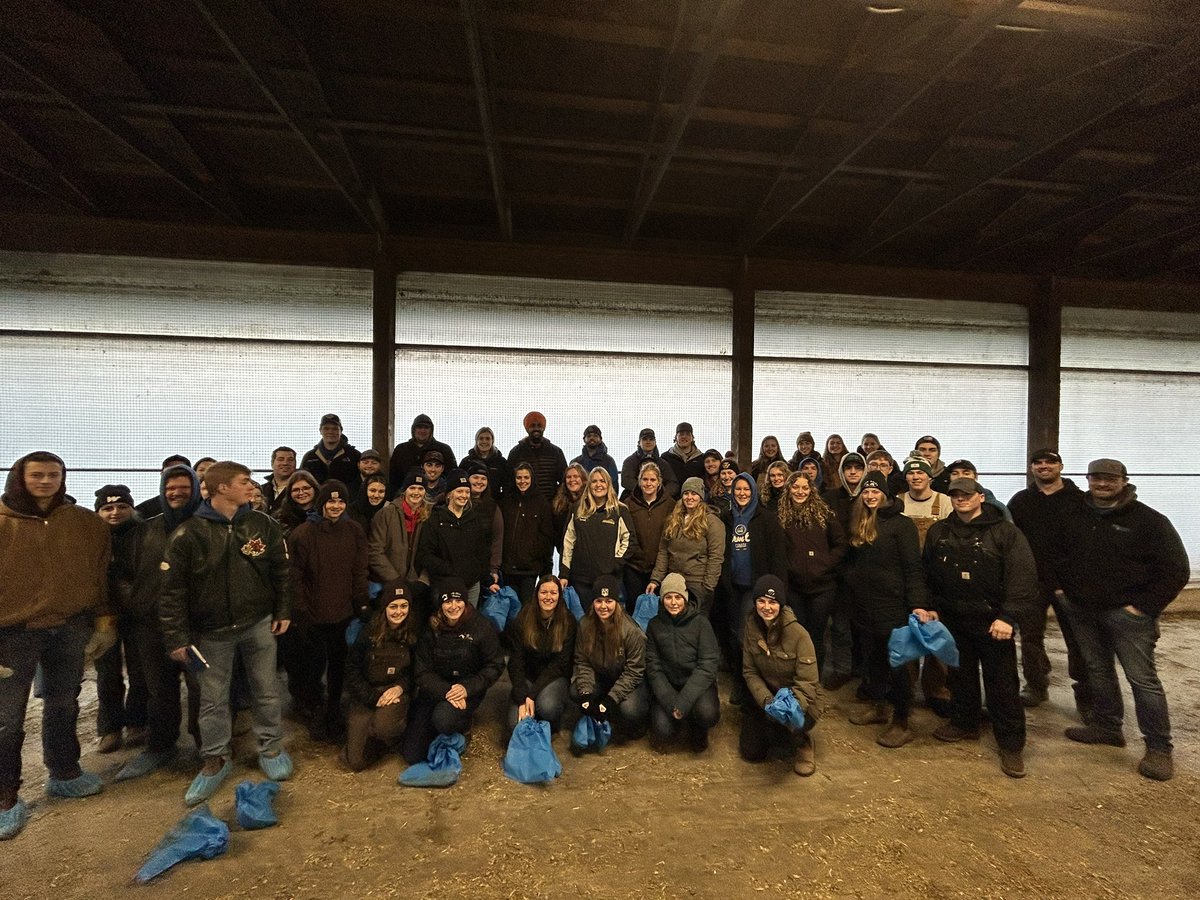 University of Guelph Dairy Science Club tweet media