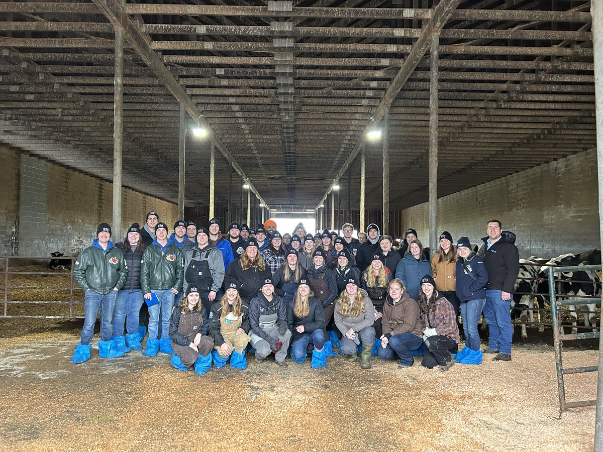 University of Guelph Dairy Science Club tweet media
