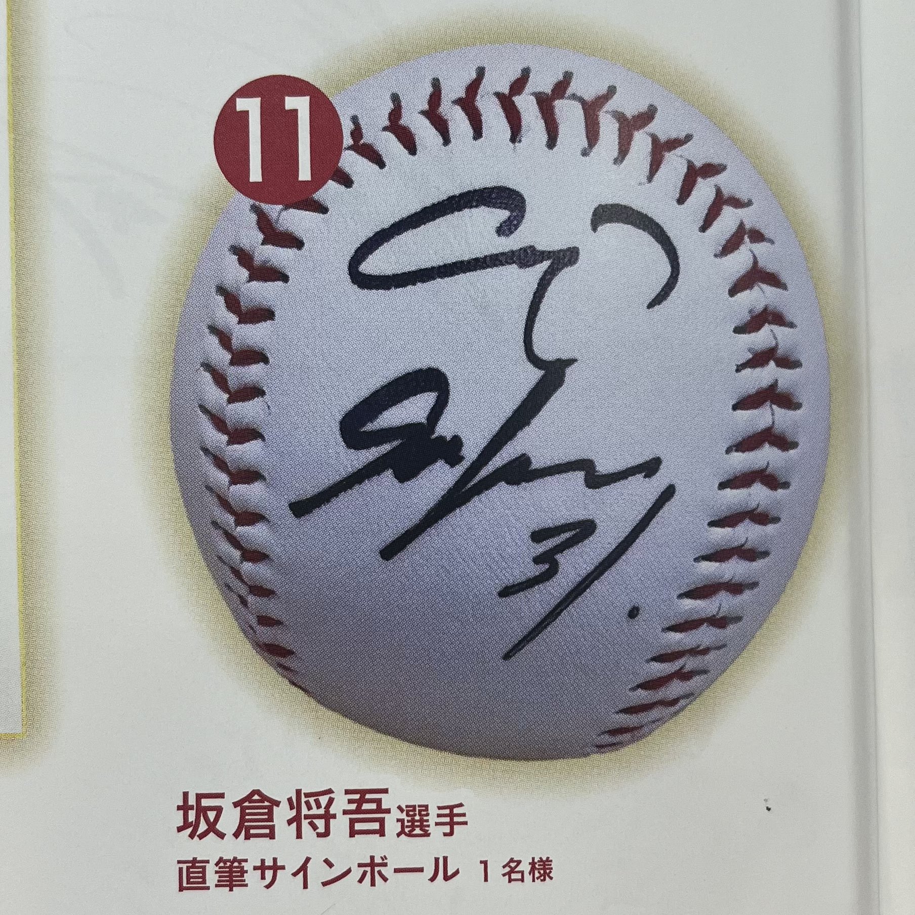 サンフレッチェ広島 サイン入りボール 【公式通販】