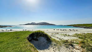 CatEccentric's tweet photo. Bagh a Deas Beach it's so beautiful #Vatersay #Scotland #Isleofbarra #celticcowsroamhere #Picturesqueview #packapicnic #hiking #longwalks #sunbathing #swimming #Breathtakingviews #makememories #travel #letsgo #getbacktonature https://t.co/hncnf6Rymz