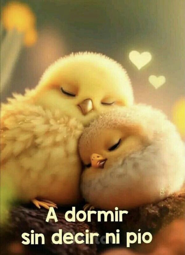 RINOCAR's tweet photo. Sueños mágicos 💤😴
Buenas noches... https://t.co/tJpUEUqsv3