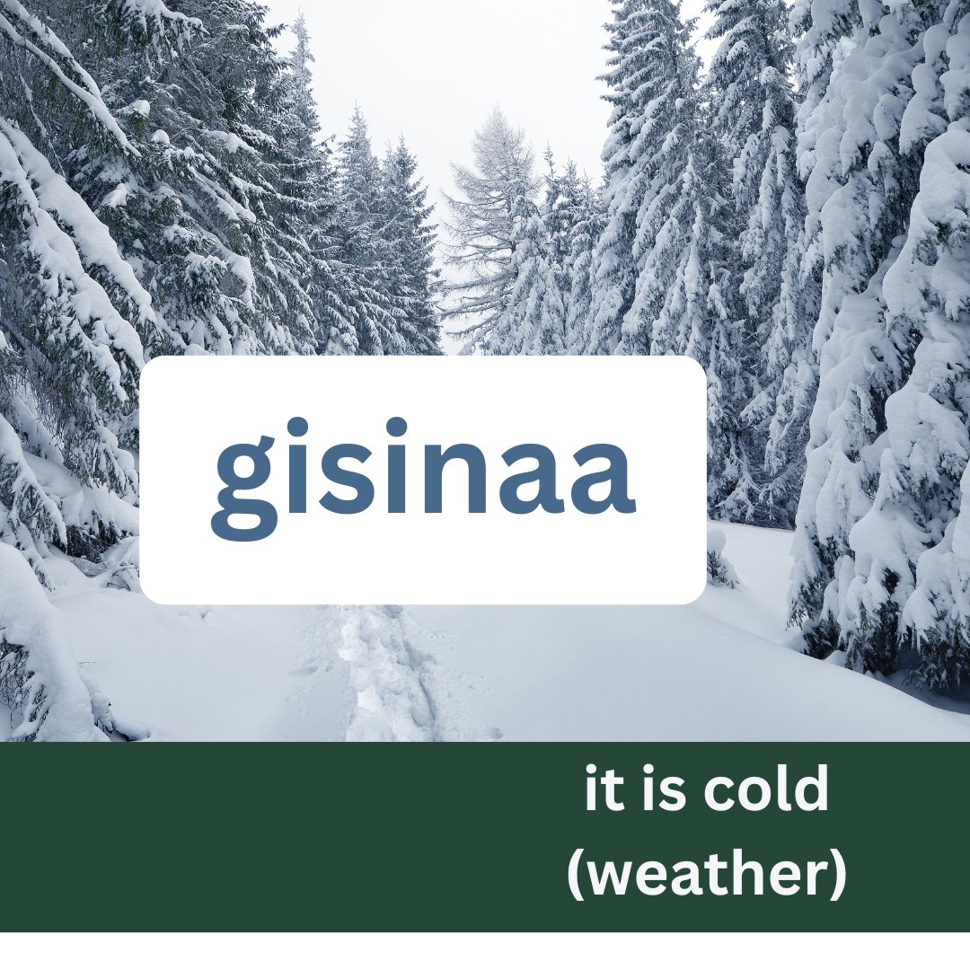 MSIFN's tweet photo. Learn Anishnaabemowin with us – gisinaa

It is cold (weather)

Link to pronunciation: https://t.co/pcKbvKIzsf

@DDSBSchools @dcdsbindigenou1 @anishnation 
#Mississaugas #MSIFN #anishinaabe #anishinaabemowin #FirstNations #TeacherTools #Winter https://t.co/sHE4zeL9Fc
