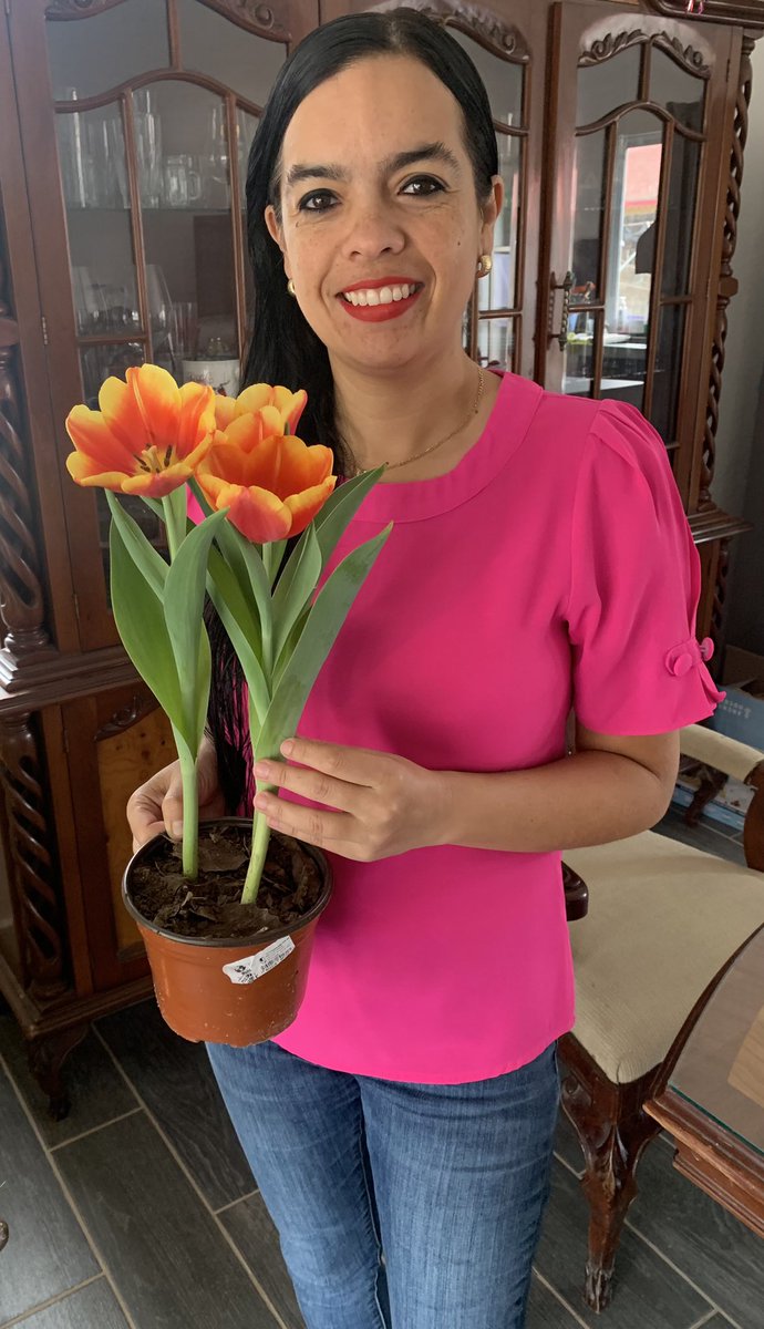 Bonita tarde a tod@s. Les comparto esta chulada de Tulipanes 🌷⭐️