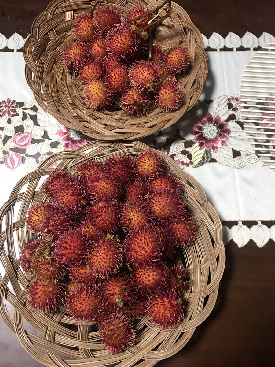 Bigay ng kapitbahay.  
Sun-kissed rambutan. 
Life is good!☀️ 

#frontyardharvest 
#neighborlylove