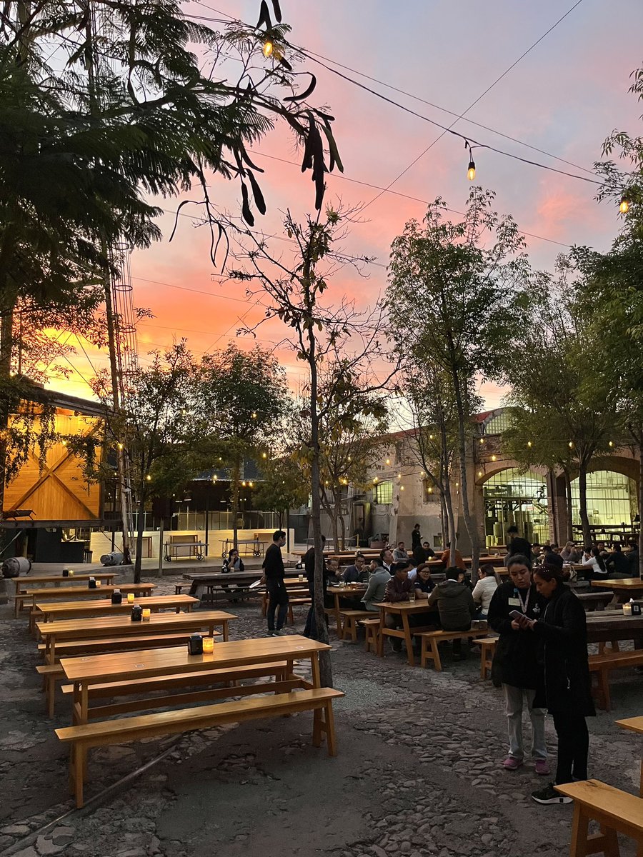 Querecool tweet media