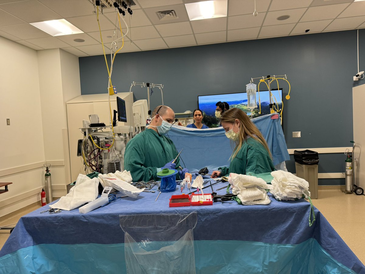 AmandaKumarMD's tweet image. A beautiful day in Durham to teach fellow crisis resource management simulation with @JenDominguezMD. A fabulous cross-pollination with #DukeRAP #DukeACTA #DukeOBAnes @DukeAnesFellows