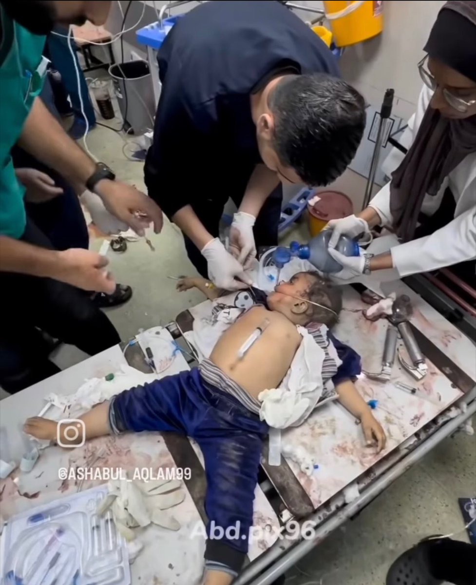 ShaykhSulaiman's tweet photo. WAR ON BABIES https://t.co/3VSW9CJioO