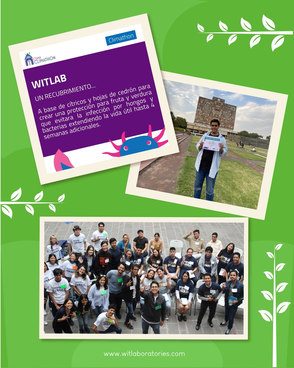¡Emocionados de compartir la noticia de que hemos ganado el primer lugar en <a href="/ClimathonCDMX/">Climathon CDMX</a>! 🌍
Nos enorgullece que nuestras innovaciones aportan en el camino hacia un futuro más sostenible.  ¡Gracias a todos por hacer esto posible!
<a href="/GlobalClimathon/">Climathon 🌍</a> 
<a href="/ClimateKIC/">EIT Climate-KIC</a> 
<a href="/ImpactHubCDMX/">ImpactHubCDMX</a>