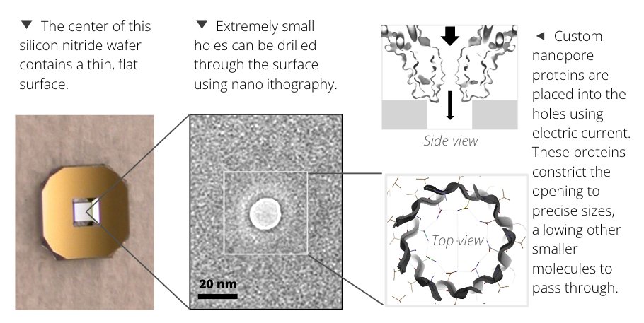 Drs. Alexis Courbet and Jinwei Xu from @UWproteindesign have received a $100,000 grant from @wrfseattle to create the first direct interface between #biochemistry and electronics for multi-omics applications​​. We cannot wait to see this project develop! bit.ly/3ShgzJm