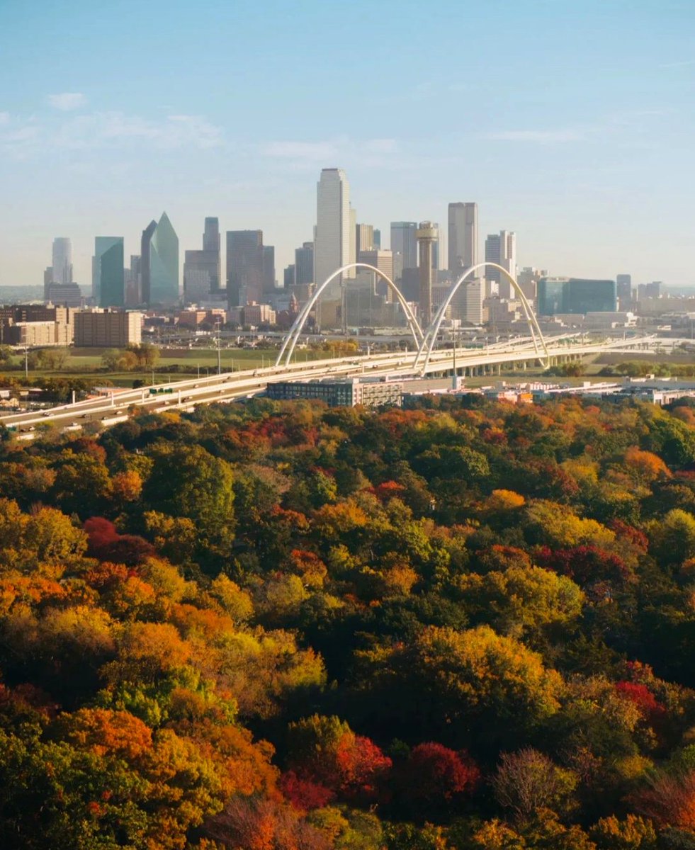 ReunionTower's tweet photo. I may miss seeing the fall leaves, but nothing beats feeling that winter breeze! 

Visit my GeO-Deck this weekend for some outdoor sun and chilly fun. 🌤️ 😎 Everyone can have fun up here! -The Ball 

📸 : @disasterfilm https://t.co/SK5hsf0d37