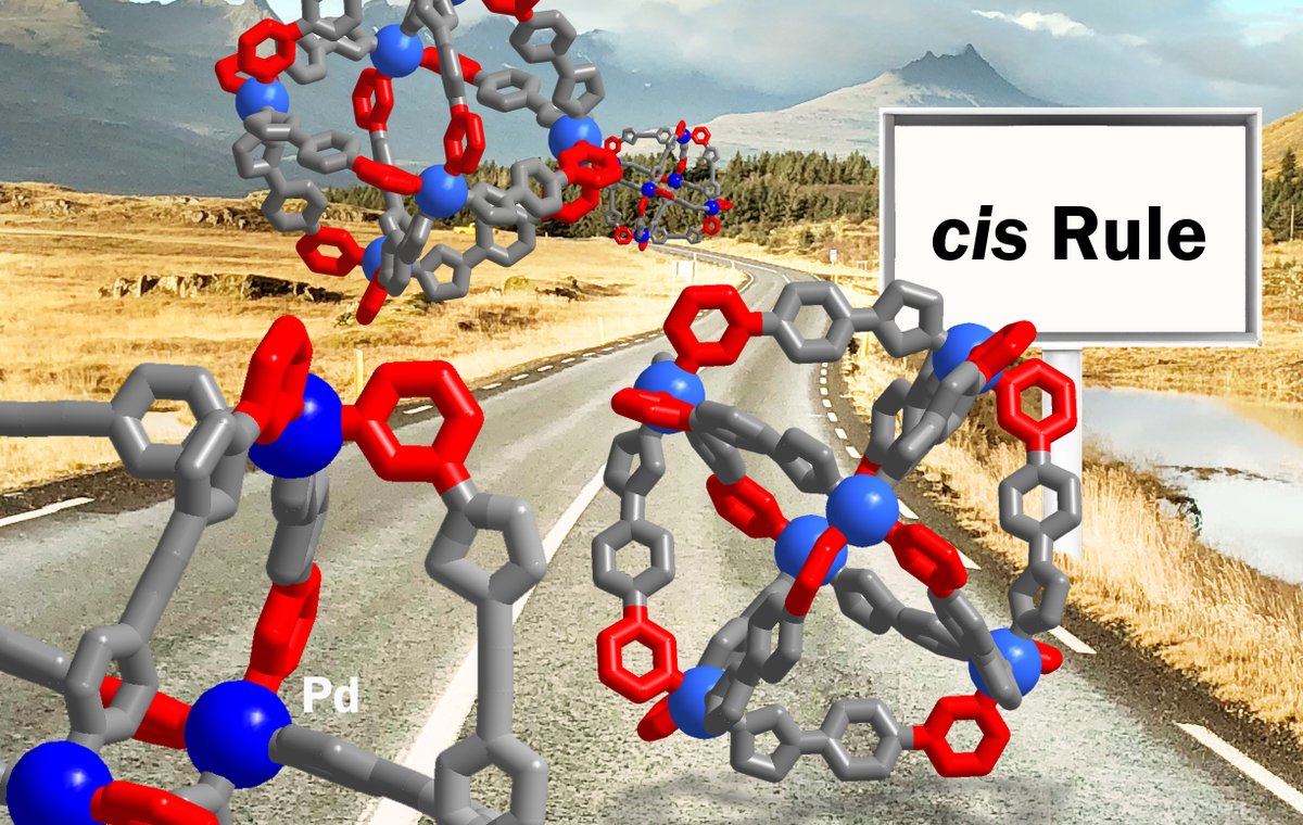 Scope and limitations of the ‘cis-Rule’ for octahedral #coordinationcages. Work by <a href="/JCEdeMontmollin/">Jean de Montmollin</a>, <a href="/AtenaSolea/">Atena Solea</a>, Damien Chen, and @Fadaei23 in <a href="/InorgChem/">Inorganic Chemistry</a> : pubs.acs.org/doi/full/10.10…