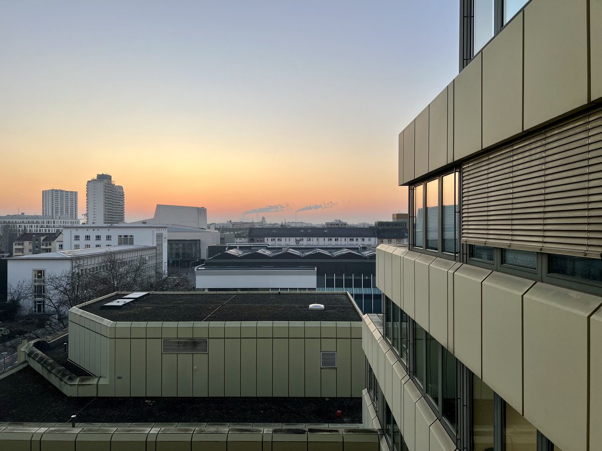 Daniel Lips tweet media