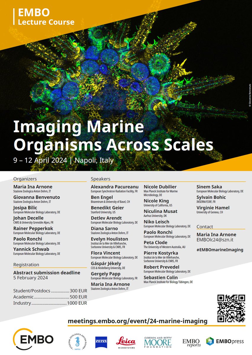 Johan Decelle (@johand13016359) on Twitter photo Passionate about microscopy and marine organisms? 🚣♀️🔬 If so, join us to an exciting <a href="/EMBO/">EMBO</a> Lecture Course in Napoli (<a href="/SznDohrn/">Stazione Zoologica Anton Dohrn</a> ) in April that will combine great lectures, hands-on microscopy workshops, poster session on multimodal imaging techniques. meetings.embo.org/event/24-marin… Passionate about microscopy and marine organisms? 🚣♀️🔬 If so, join us to an exciting <a href="/EMBO/">EMBO</a> Lecture Course in Napoli (<a href="/SznDohrn/">Stazione Zoologica Anton Dohrn</a> ) in April that will combine great lectures, hands-on microscopy workshops, poster session on multimodal imaging techniques. meetings.embo.org/event/24-marin…