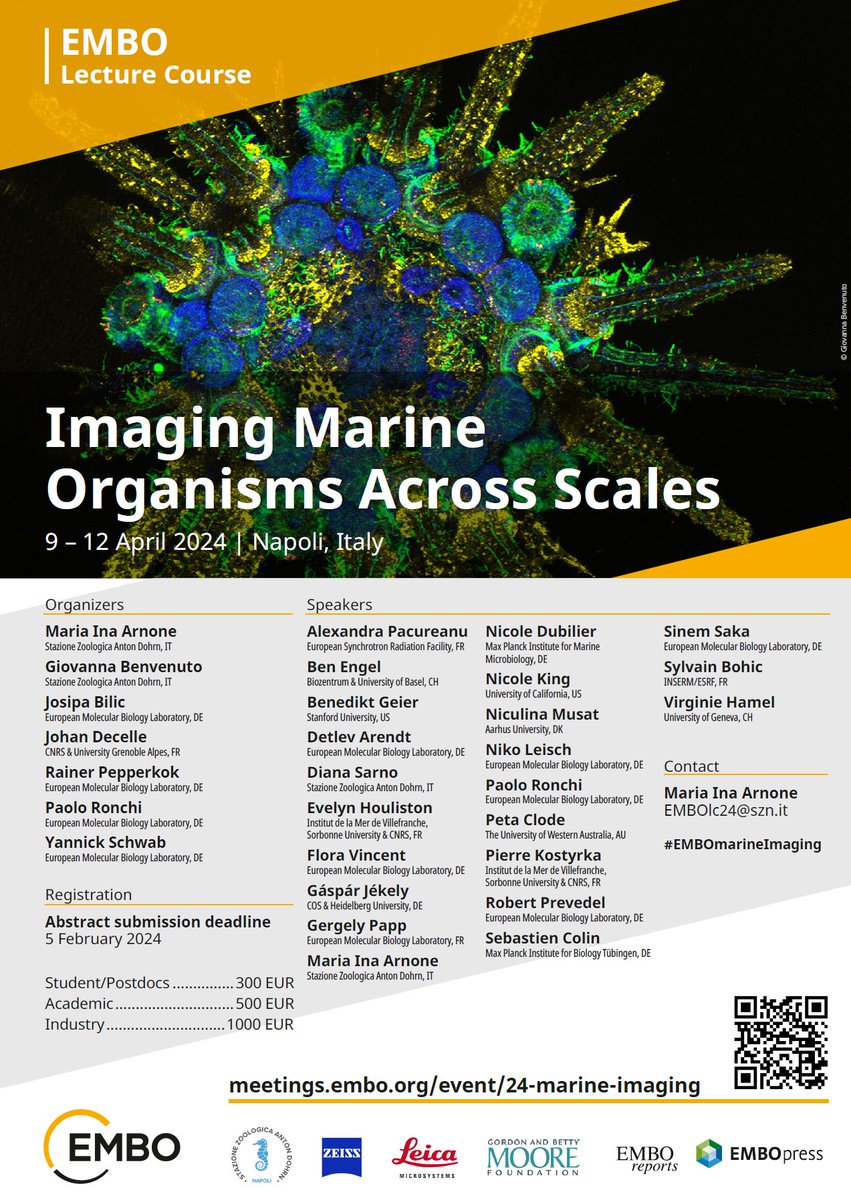 Passionate about microscopy and marine organisms? 🚣‍♀️🔬 If so, join us to an exciting @EMBO Lecture Course in Napoli (@SznDohrn ) in April that will combine great lectures, hands-on microscopy workshops, poster session on multimodal imaging techniques. meetings.embo.org/event/24-marin…