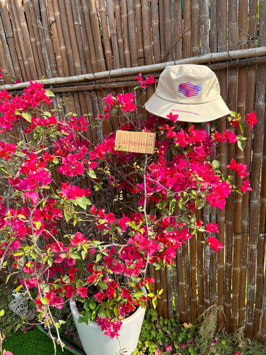 Halin | eth (@onphin8) on Twitter photo Look, the deer has a fisherman's hat, he must love fisherman's hats and beautiful flowers!🦌🤠👒
<a href="/SpaceandTimeDB/">Space and Time</a> Look, the deer has a fisherman's hat, he must love fisherman's hats and beautiful flowers!🦌🤠👒
<a href="/SpaceandTimeDB/">Space and Time</a>