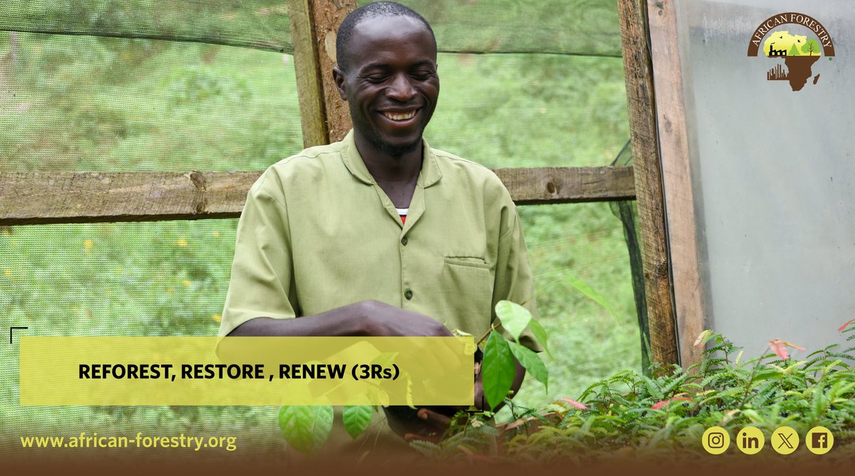 AfForestry's tweet photo. Embrace the power of change: Reforesting to restore and renew our Earth. 🌳✨ Join the movement for a greener, healthier planet. Let's sow the seeds of hope together! 🌿💚 #ReforestRestoreRenew #GreenRevolution #SustainableFuture" https://t.co/OERQHleRbS