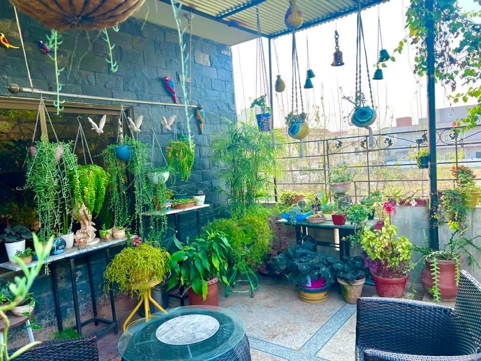 The Witness tweet media