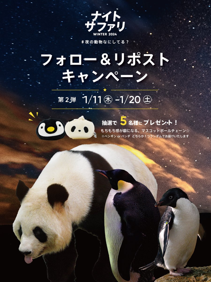 aws_official's tweet photo. ★フォロー&リポストキャンペーン 第2弾 ★
① @aws_official をフォロー
②このポストをリポスト
キャンペーン期間：1/20㈯ 23:59まで

ナイトサファリWINTER 2024🌙
サファリだけじゃなくパンダ・ペンギンのツアーも！
2024年2月24日まで開催中！

▽ツアー詳細はこちら▽
https://t.co/cNNG5XrJMx

#夜の動物なにしてる？