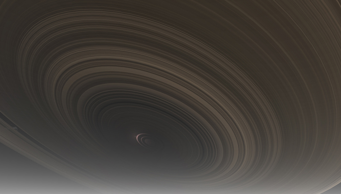 Kimberly Janssen tweet media