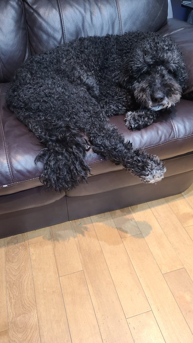 Danielle tweet media