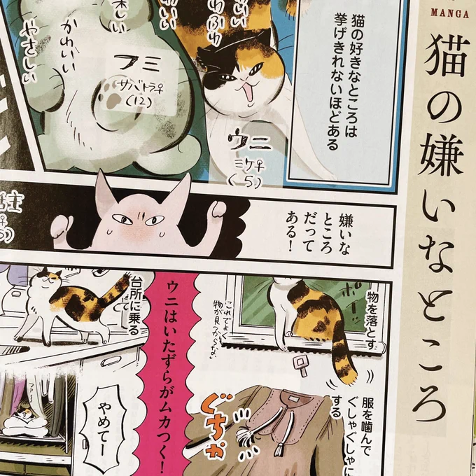 ダ・ヴィンチ二月号に猫漫画が掲載されています! 久々のフミウニ漫画ぜひ読んでいただけたら幸いです!