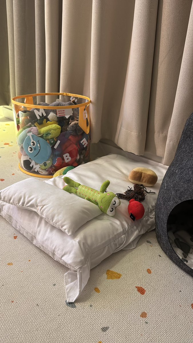 BB__house's tweet photo. 둘째 바다가 가지고 노는 장난감 물어다 자기 방석에 가져다 놓는다.
엄밀히 말하자면 뺏는다기보다는 같이 터그놀이하고 싶은데 우리 집 애들은 터그놀이를 좋아하지 않는다 😅

근데 벌써 저 공간은 자기 공간임을 인식하고 저곳에 가져다 놓는다는 게 신기하고 영특하고 그저 귀엽다. https://t.co/jwpT5jiNpE