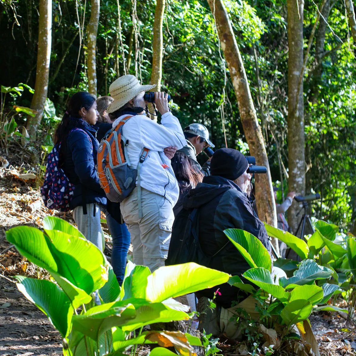 guide_atitlan tweet picture