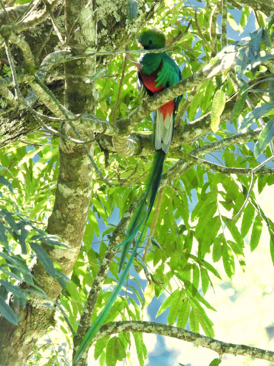 guide_atitlan tweet picture