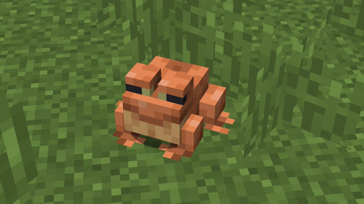 Rank Diamond Team tweet media