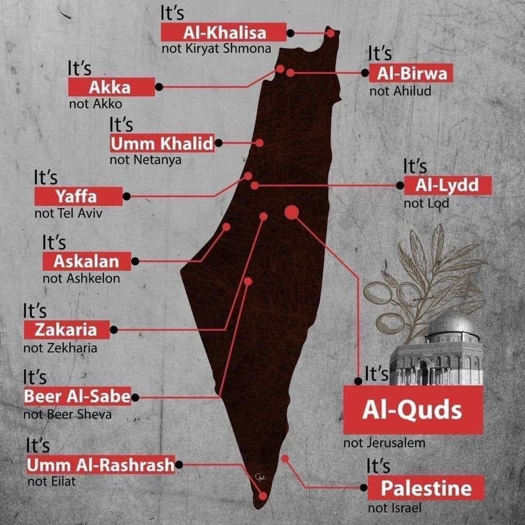 PhinixOfficial's tweet photo. Palestine 🇵🇸 https://t.co/GX6E5yVUOg