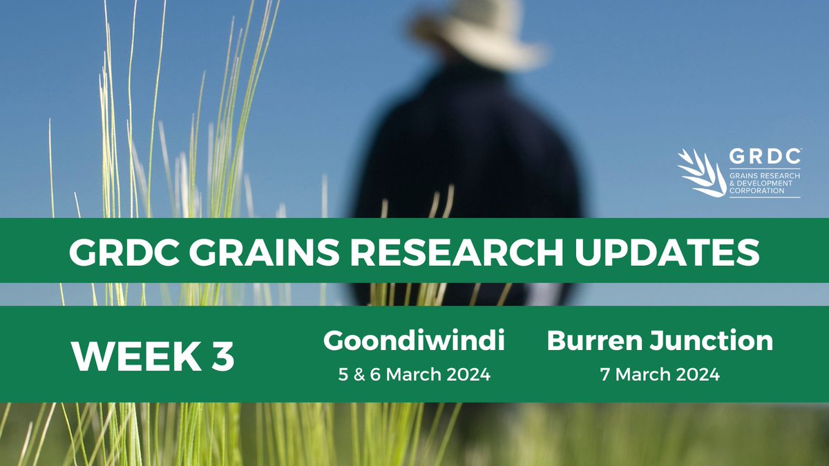 GRDCNorth's tweet photo. It's that time of year ...GOONDI! Yes, next week the #GRDCUpdates are at #Goondiwindi and #BurrenJunction
Topics specific to the region to get the latest info going into winter 2024.
Check out agendas for great topics & register to come along. https://t.co/LHGpVH3Y8Y https://t.co/mvAyZPAjp8