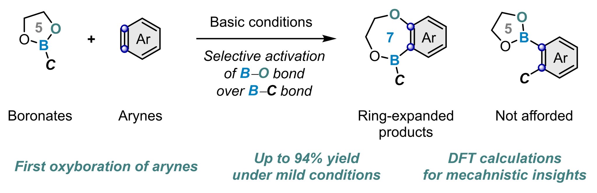 Dual Roles of Co2(CO)8 Enable Carbonylative Ring Expansion of Thieta