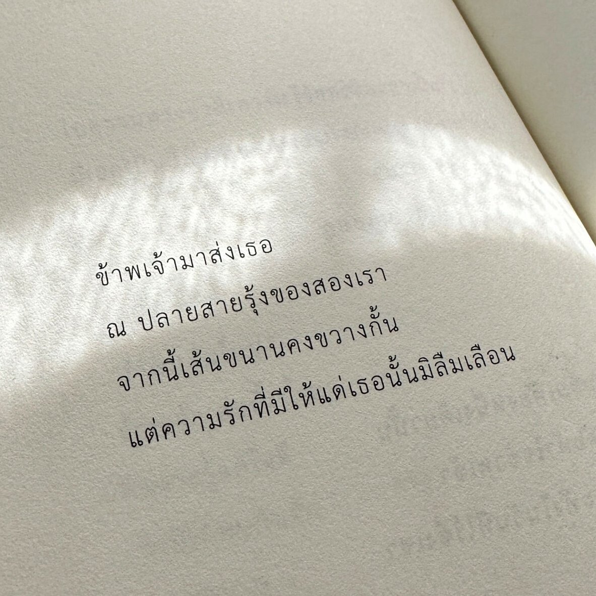 ร้านกลิ่นหนังสือ tweet media