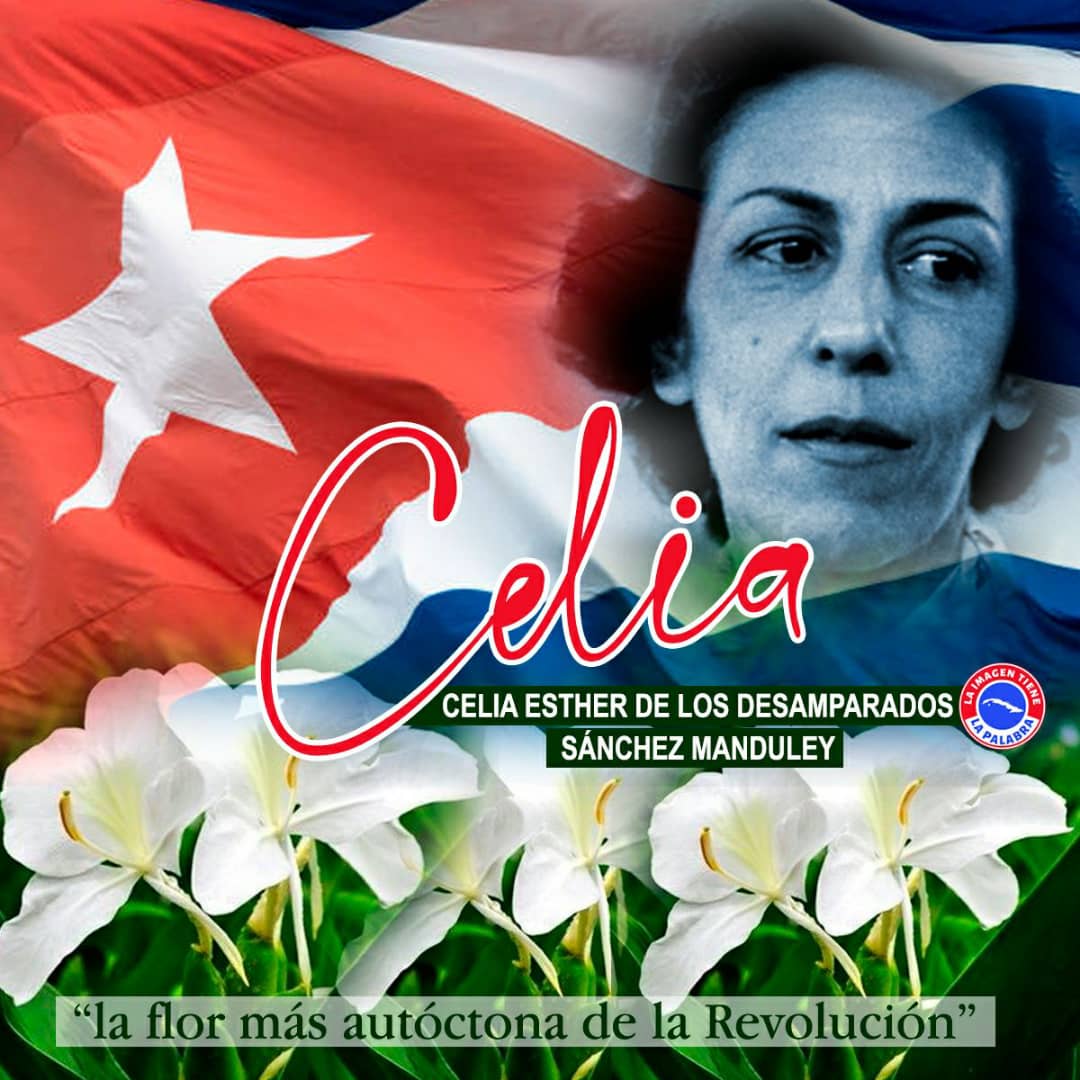 AbelPrieto11's tweet photo. Celia falleció el 11 de enero de 1980. De ella dijo Armando Hart: "quienes deseen conocer la sensibilidad que hay en el corazón de los revolucionarios cubanos deben estudiar la vida de Celia". Y la definió como "la flor más auténtica de la Revolución". #TenemosMemoria https://t.co/iilnA0ED3m