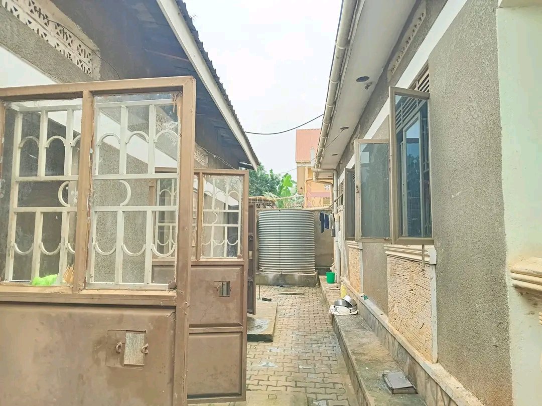 shukranproperty's tweet image. Mukono-town, Nasuuti. Available a house with #3bedrooms #2bathrooms plus #3boy'squaters.
  📌 Seated on #12Decimals ready mailo land title.
📌 Selling price  #180million ugx negotiable.
📌 FOR  inspection call or what's app on+256706592177
#KiiraMotorsXUgandaAirlines bugingo bobi