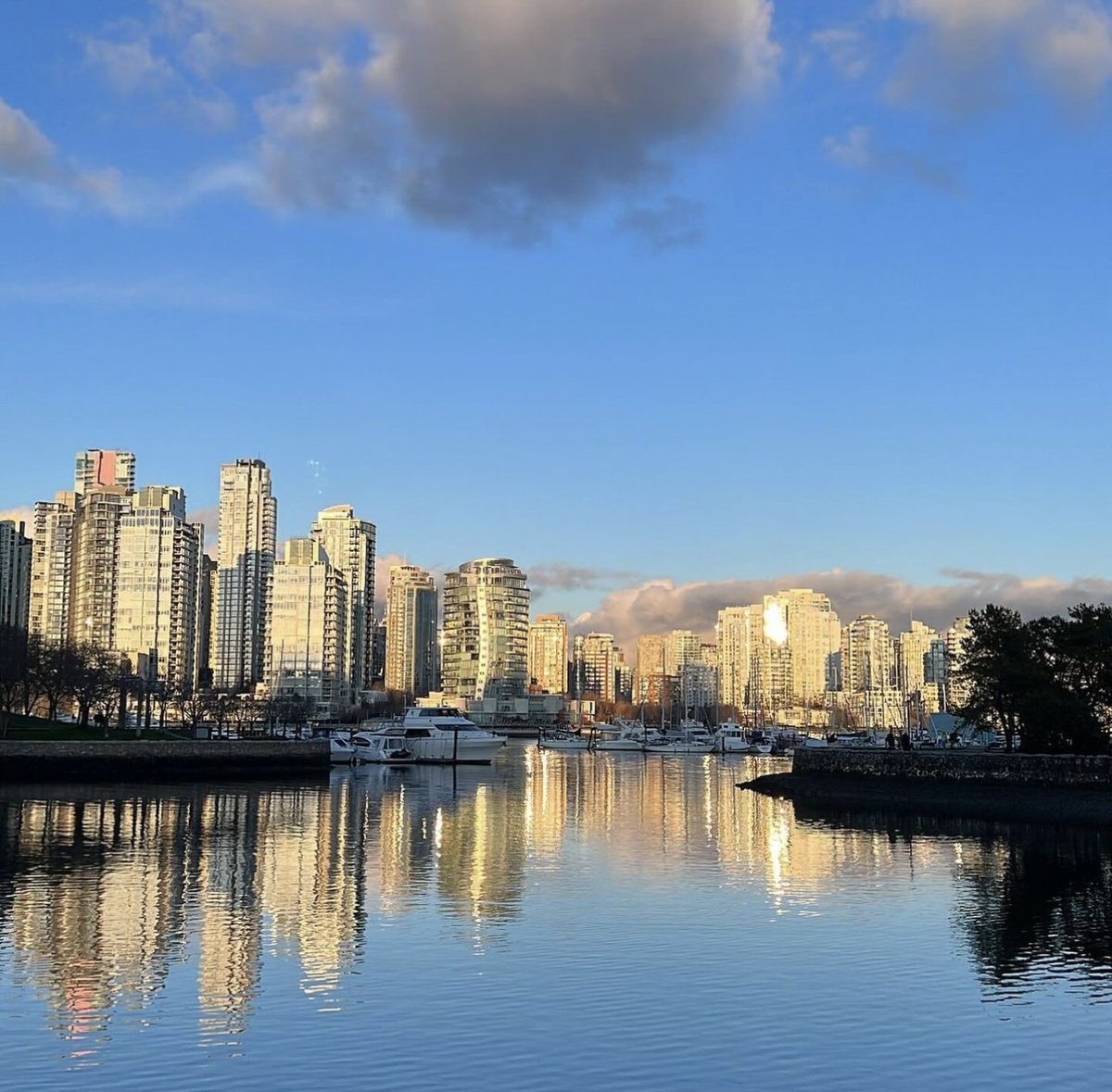 Our favourite view ❤️

Credit @views.redefined 

#falsecreek #vancouverbc #vancouver #vancity #vancityfeature #vancityhype #vancityscape