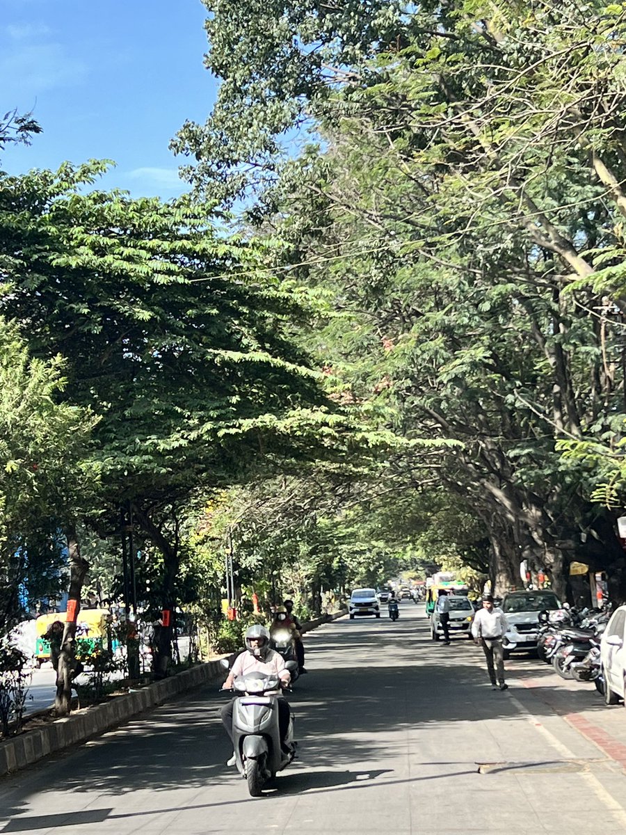 srinualavilli's tweet photo. A beautiful Bengaluru morning at South End that begins with #MeterAuto
I handed a ₹100 & Mr driver gave me ₹20. No discussion.
Took auto thrice this week. On meter :)
#CatchRunningAuto https://t.co/5nLkvbI4uW